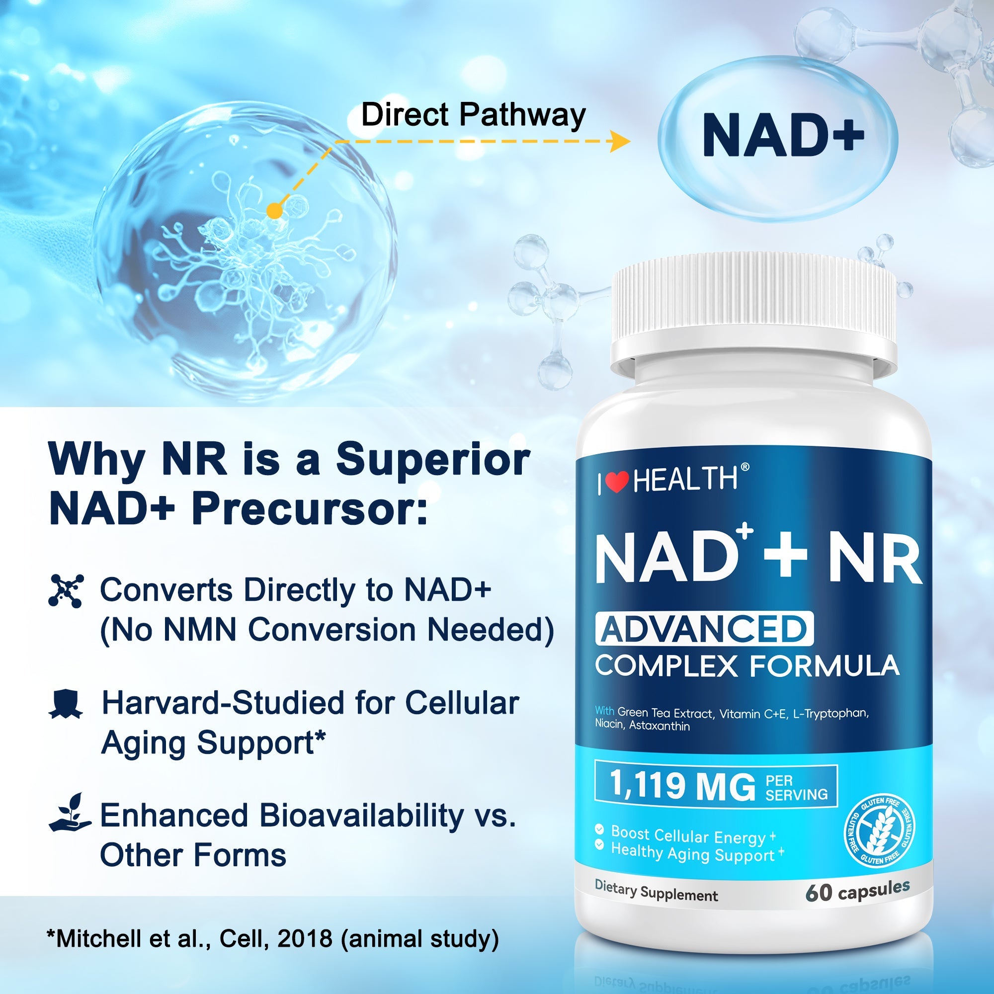 NAD+ Complex — Cellular Energy & Longevity