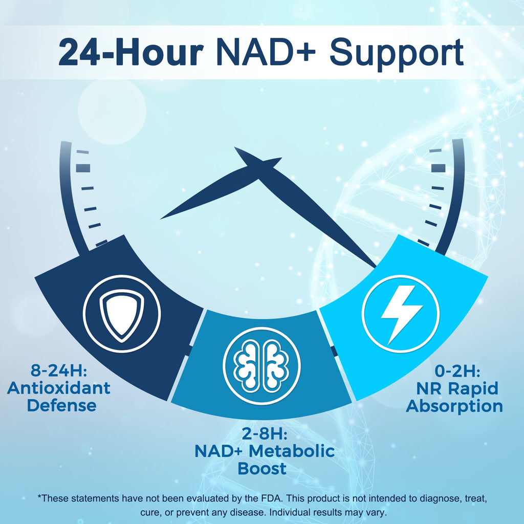 NAD+ Complex — Cellular Energy & Longevity