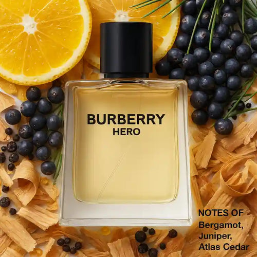 Burberry Hero Cologne
